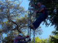 2015-03-28_14-38-56_813.png