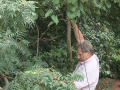 DSC00278
