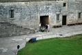DSC_5323_edited-2