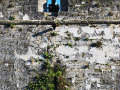 SAARS-Old-Fort-005-November-16-2024