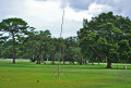 SAARS-Field-Day-008-June-24-2023