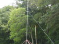 P4252805.png