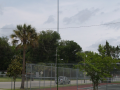 P4252807.png
