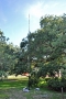 DSC_6280_edited-1