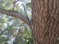 IMG_20240818_121005718