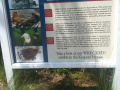 IMG_20240818_121147020