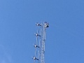 IMG_20191201_105540996