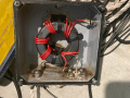 critters_in_Balun